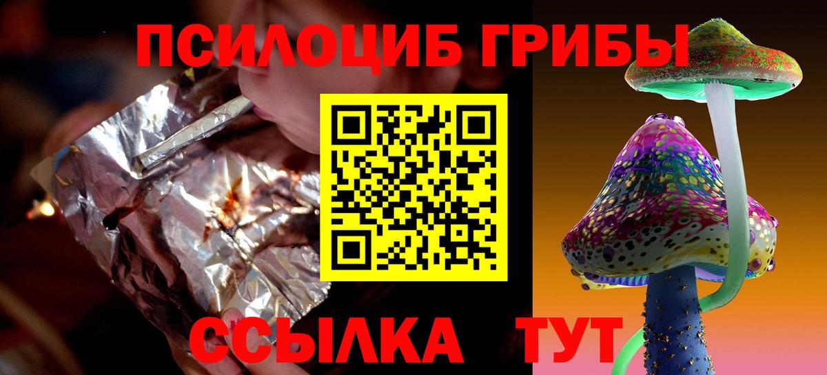 Галлюциногенные грибы Cubensis Дмитров