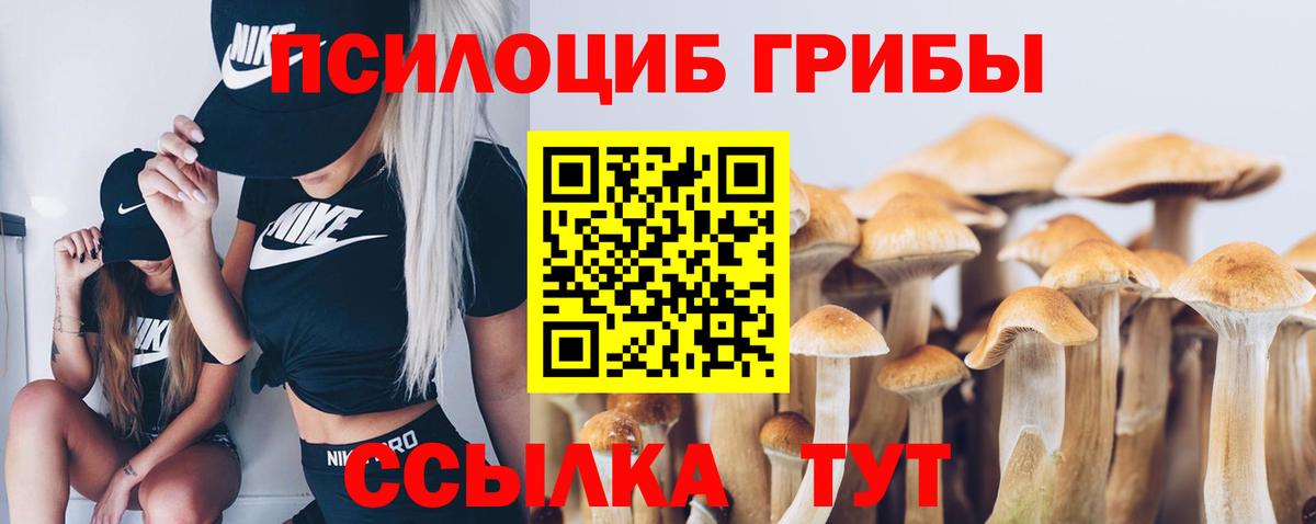 где можно купить наркотик  Псилоцибиновые грибы мицелий  Вход с VPN  Дмитров 